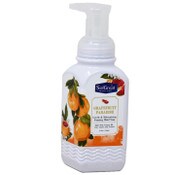 Wholesale - 8.75oz Grapefruit Paradlse Foaming Hand Soap C/P 24, UPC: 850025645447
